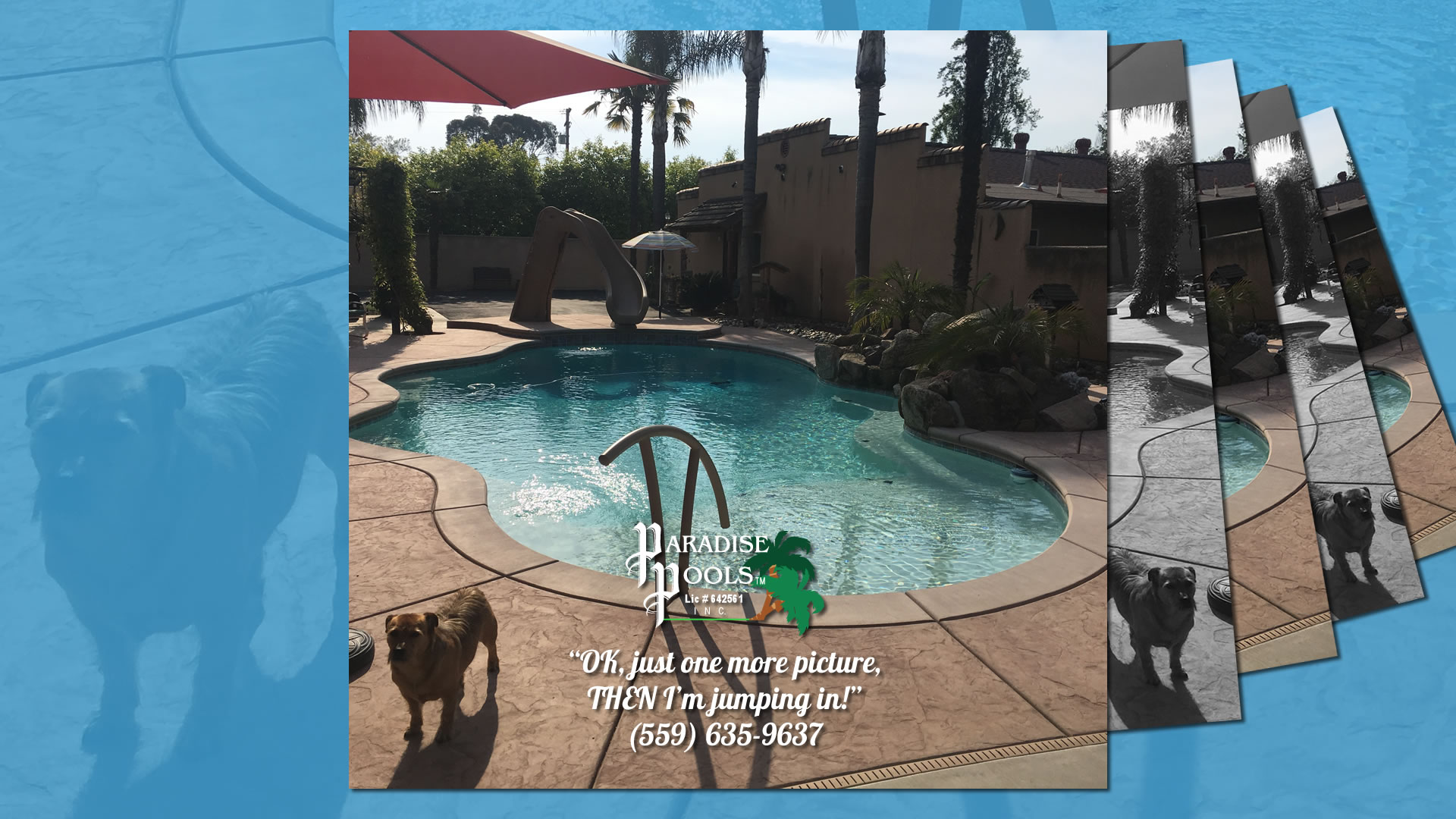 Pool Finance options Paradise PoolsTM (559) 635-9637